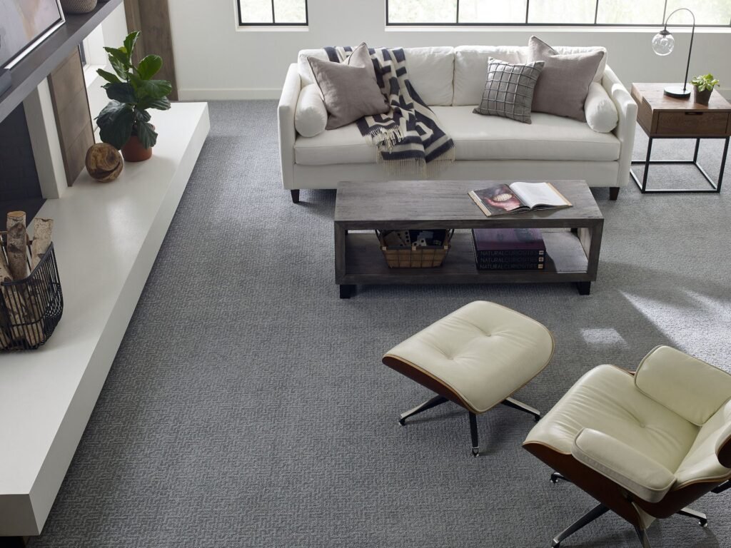 carpet-living room-pet friendly-installation