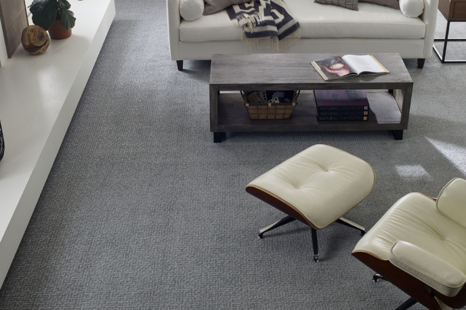 carpet-living room-pet friendly-installation